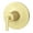 Brushed Gold, variant on Pfister R89-1Tnt 6-5/8", Tenet Pressure Balanced Valve Water Diverter Trim