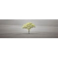 thumbnail image 2 of Frank, Assaf 24x11 White Modern Wood Framed Museum Art Print Titled - Single tree in foggy field, 2 of 4