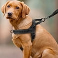 thumbnail image 2 of Pawly Lab Co No-Pull Harness, Reflective Adjustable Breathable Mesh Pet Vest, Easy On-Off Soft Padded Harness for Dogs, Front-Chest Attachment for Better Leash Manners (Black), 2 of 8