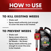 Spectracide One-Shot Weed & Grass Killer with AccuShot Sprayer, 1 Gallon