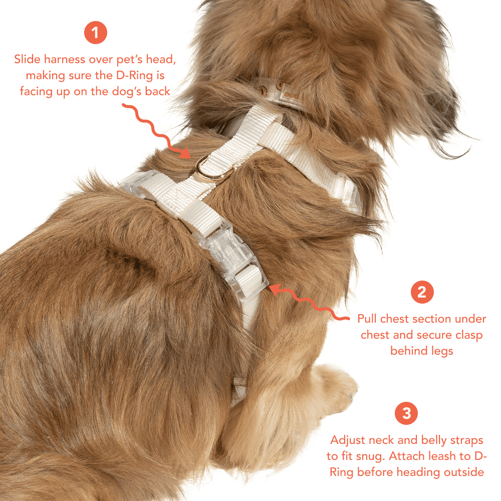 Oodles Tan Checkered Quilted Dog Walking Harness, Small