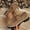 Khaki, variant on Women’s Suede Tassel Platform Loafers, Comfortable Lace-Up Shoes for Fall/Winter Commutes, School Days, and Casual Office Looks