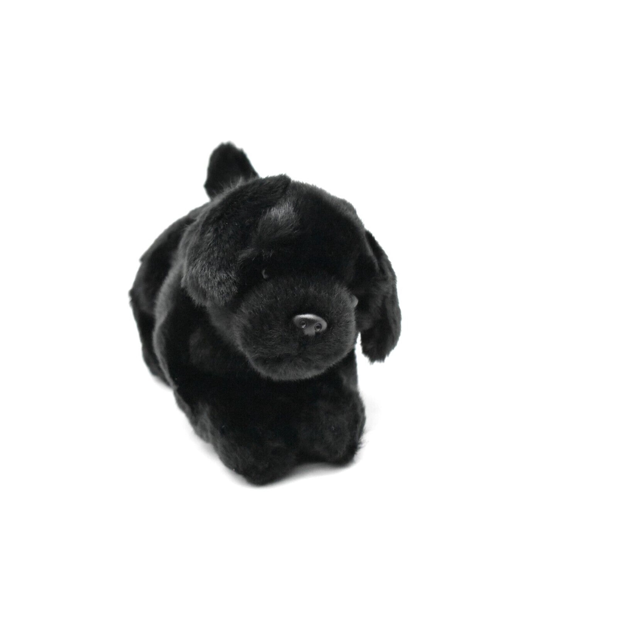 Black Labrador Plush Toy Realistic Stuffed Puppy Black Lab Dog K9 Stuffed Dog Educational Toy Kids Gift 8 CC01 BB51