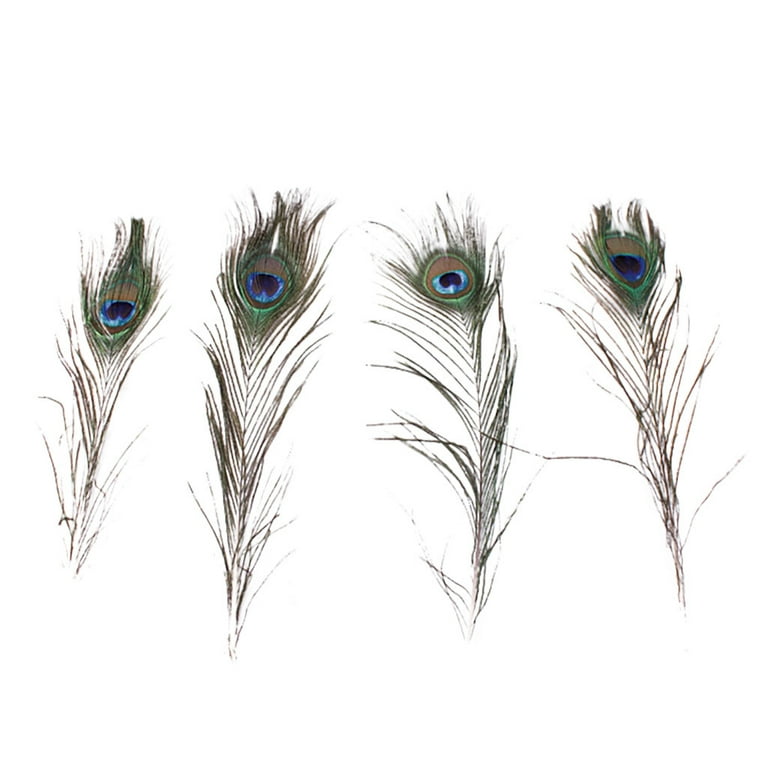 10X Real Natural Peacock Tail Eyes Feathers Wedding Festival Party Home  Decor_US