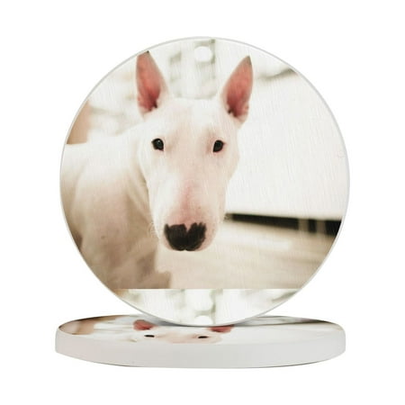 

Circular Drink Coasters Set Bull Terrier Bull Terrier Beautiful Home Decor Diatomite Heat-Resistant Diatomite Protect Table Countertop