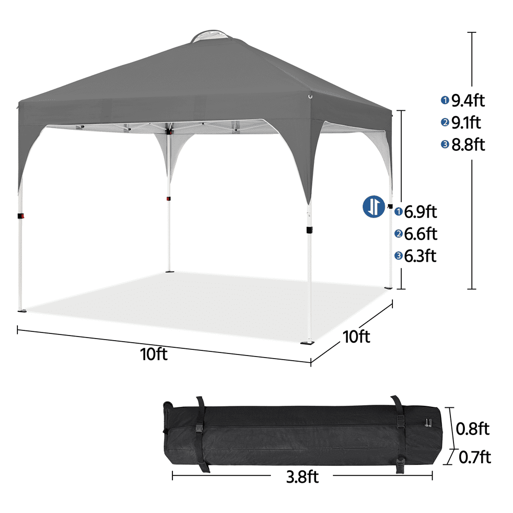 Alden Design Outdoor Canopy Tent with Stakes Ropes Sandbags Wheeled Bag for Patio, Dark Gray