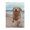 500 Pieces, variant on Dog Running Beach Ocean Sand 500-Piece Wooden Jigsaw Puzzle for Adults, Fun & Challenging Family Game, Stylish Wall Decor & Holiday Gift