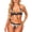 Aztec Horse, variant on Women Triangle Bikini Sets Colorful Groovy Flower Swimsuit 2 Pieces High Cut Cross Triangle Bikini Set Swimming Wear for Beach Party