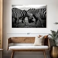 thumbnail image 3 of Elephant Stock Zebra Face Off Wall Art - Horizontal Canvas Wall Art - Living Room Wall Decor - Animal Canvas - Black And White Decor - 48" x 32", 3 of 8