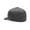 Steel Grey, variant on Fox Fox Head Tech Flexfit Hat (Sm-Md, Steel Gray)