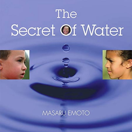 Pre-Owned The Secret of Water: For the Children of the World (Hardcover) 1582701571 9781582701578