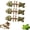Catnip Flavor (3 pcs), variant on 2026 New Creative Fish Bone Cat Dental Chew Toy -Natural Catnip & Silvervine Teeth Cleaning Stick, Fix Cat Dental Health, Durable Wooden Feline Tooth Care Tool