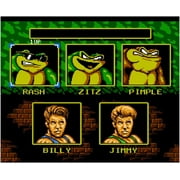 Battletoads & Double Dragon [NES]