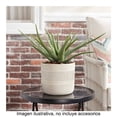 thumbnail image 2 of Maceta De Cerámica Better Homes & Gardens Estilo Acanalado Color Blanco, 2 of 4