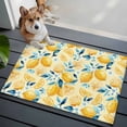 thumbnail image 3 of Yellow Lemon Blue Floral Entryway Rug 2'x3'&nbsp; Non Slip Front Door Mats, Summer Botanical Farmhouse Entrance Rugs Indoor Outdoor Carpet, Washable Floor Mats Small Area Rug for Bedroom Kitchen, 3 of 8