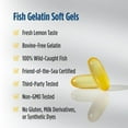 thumbnail image 6 of Nordic Naturals Omega-3 Fish Gelatin, Lemon, 690 mg, Immune Support, 60 Ct, 6 of 9