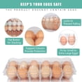 thumbnail image 4 of CZQ 60 Packs 12 Count Clear Egg Cartons, 2 * 6 Grids Design, Perfect for Family, Farm, Markets, Display(Large), 4 of 6