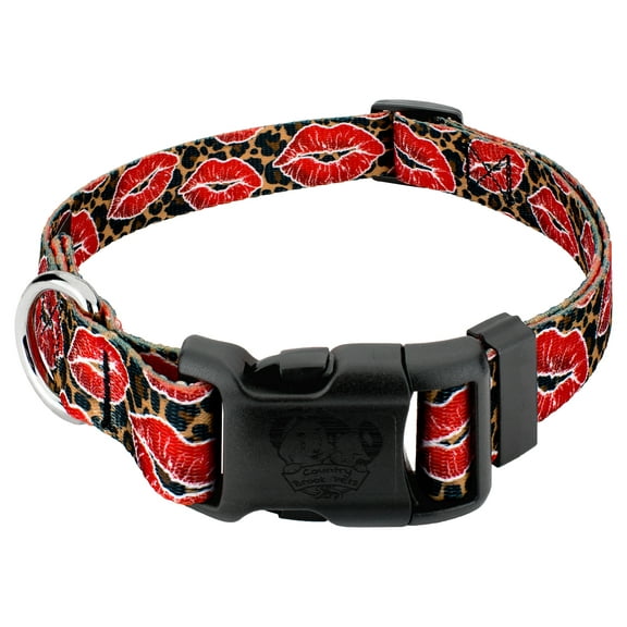 Country Brook Petz® Deluxe Cheetah Kisses Dog Collar Limited Edition - Made in the U.S.A., Small