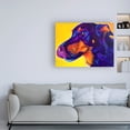 thumbnail image 3 of Trademark Fine Art 'Darcy' Canvas Art by DawgArt, 3 of 3