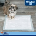thumbnail image 6 of Hartz Home Protection Super Absorbent Odor Eliminating No Leaks Dog Pads, 21 in x 21 in, 50ct, 6 of 9