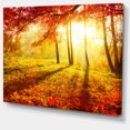 thumbnail image 2 of Yellow Red Fall Trees and Leaves - Landscape Canvas Art Print, 2 of 4