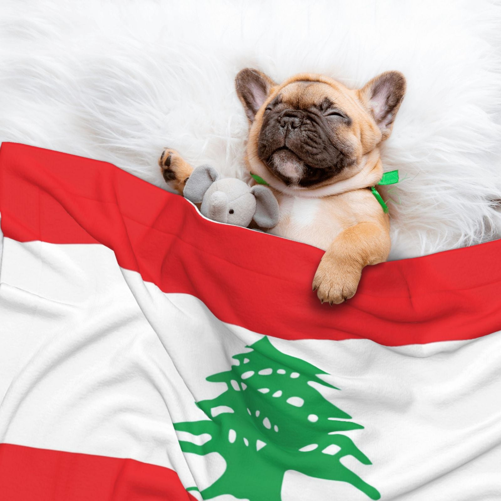 Flannel Throw Dog Blanket Lebanese Flag Soft Warm Print Pet Blankets for Small Dog Cat Puppy