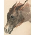 thumbnail image 2 of George Jones 12x14 Black Ornate Wood Framed Double Matted Museum Art Print Titled: Head of a Donkey, 2 of 5
