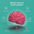 thumbnail image 6 of Ageless Brain Memory Supplements for Adults, Nootropic Brain Supplement, Brain Health Supplements for Adults with Vitamin B6, Alpha GPC, Bacopa Monnieri by PureHealth Research, 6 of 9