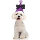 thumbnail image 2 of Ofertas Únicas 1 Pc Bonito Accesorio para Mascotas para Halloween 4.33"x4.33" Púrpura, 2 of 5