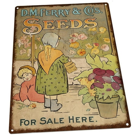 Vintage Seed Signs Seeds For Sale Here Vintage Advertisement 9