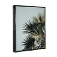 thumbnail image 3 of Stupell Industries Palm Plant Leaves Blue Sky Coastal Photography Black Floater Framed Art Print Wall Art, 3 of 6