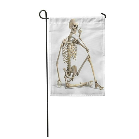 SIDONKU Anatomical Correct Male Skeleton 3D Rendering Clipping Path Garden Flag Decorative Flag House Banner 28x40