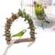 thumbnail image 5 of Juguetes Para Masticar Loros, Juguete Para Loros, Columpio De Jaula De Materiales De Madera Duraderos Y Saludables Para Loros, Loros, Pájaros Mordedores Fugacal Parrots Swing, 5 of 8