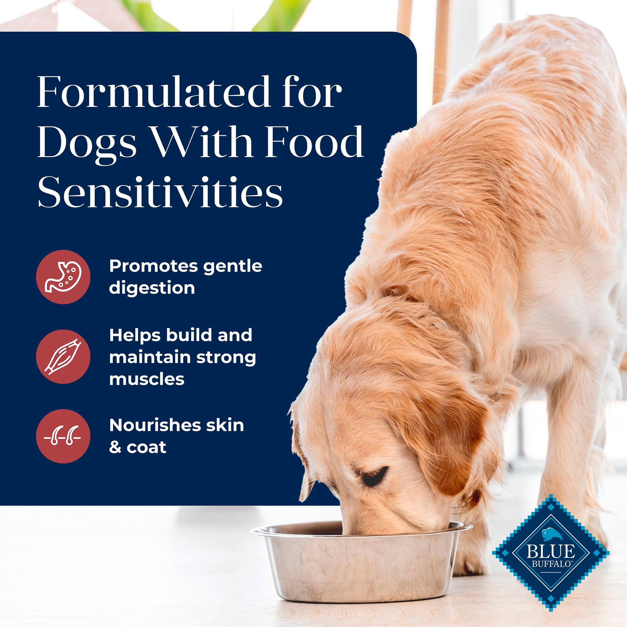 Blue Buffalo Basics Adult Dry Dog Food, Salmon & Potato, Chicken Free, 11lb Bag