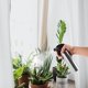 thumbnail image 4 of unbranded Regadera De Inoxidable Para Plantas Con Rociador Para Jardín Y Hogar Color Plateado, 4 of 8