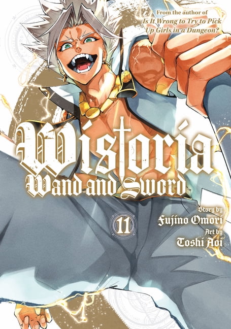 Soul Eater, Vol. 19 (Series #19) Paperback Comic Book - Walmart.com