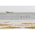 thumbnail image 2 of Wilson, Emily M. 24x17 White Modern Wood Framed Museum Art Print Titled - Middle East-Arabian Peninsula-Al Batinah South-Mahout-Flamingos, 2 of 4