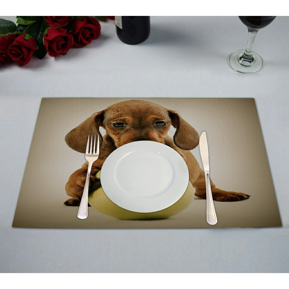 ECZJNT Dachshund Puppy Dog With Green Apple Placemat Table Mat Cup Mat