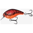thumbnail image 5 of Scamp, 5 of 21