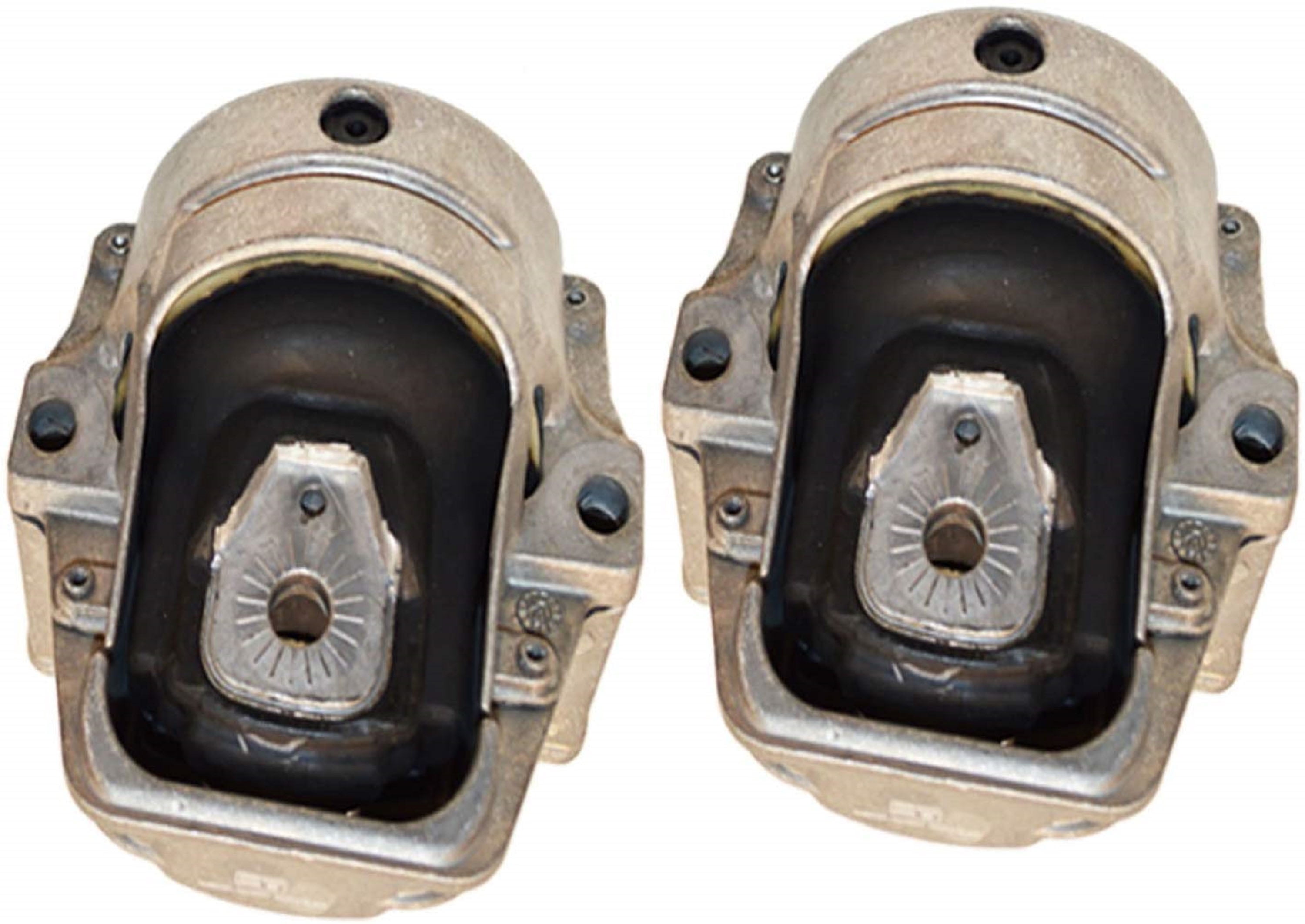 Engine Mount set Hydro