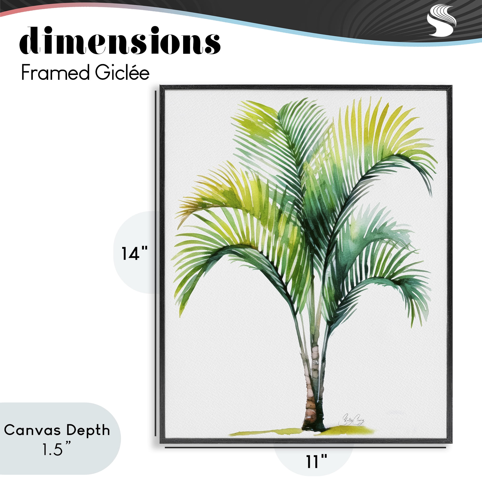 Stupell Industries Coastal Canopy Palm Tree Black Framed Giclee Art, design by Shelly Craig