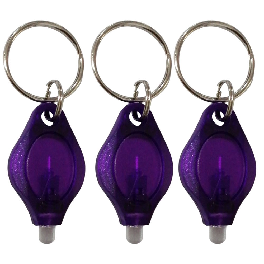 3 Pcs Mini Lampe de Poche LED Lumière Violette Torche Porte-Clés Lampe de Poche Anneau Torche