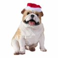 thumbnail image 1 of Fawn Bulldog With Santa Hat Christmas Ornament Sculpture, 1 of 1