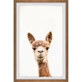 thumbnail image 3 of Marmont Hill Llama Face Iv Framed Wall Art, 24.00" x 1.50", 3 of 5