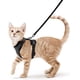 thumbnail image 1 of Arnés para gatos (negro XS), 1 of 5