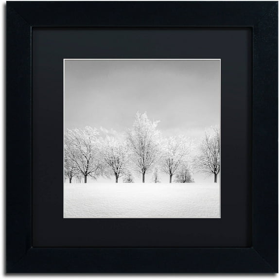 Dave MacVicar 'Ice Storm' Black Matted Framed Art