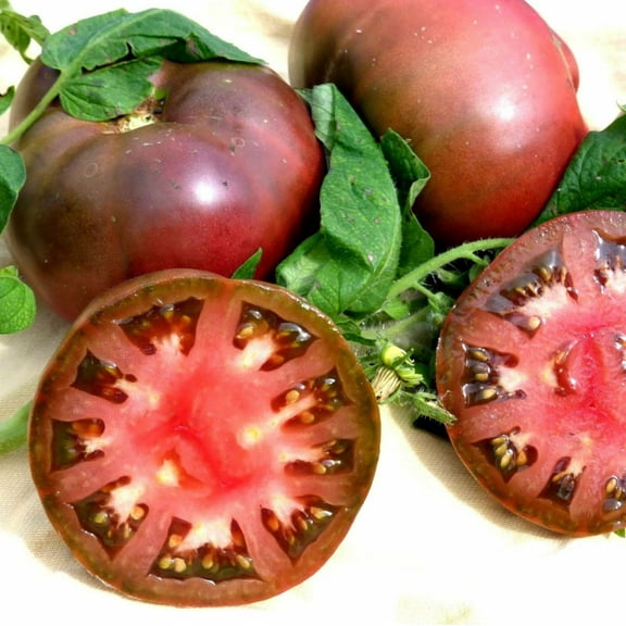Cherokee Purple Tomato Seeds/Annual/Full Sun/125 Seeds 1/2 Gram/Zellajake Farm and Garden - B351