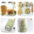 thumbnail image 6 of StainlessSteel Sprouting Kit, 6 Reusable Lids for Wide Mouth Jars, FoodGrade Material, HealthyGrowing Solution, Easy Drainage Design, Odor-Free & RustProof, Multifunctional Bean, 6 of 8