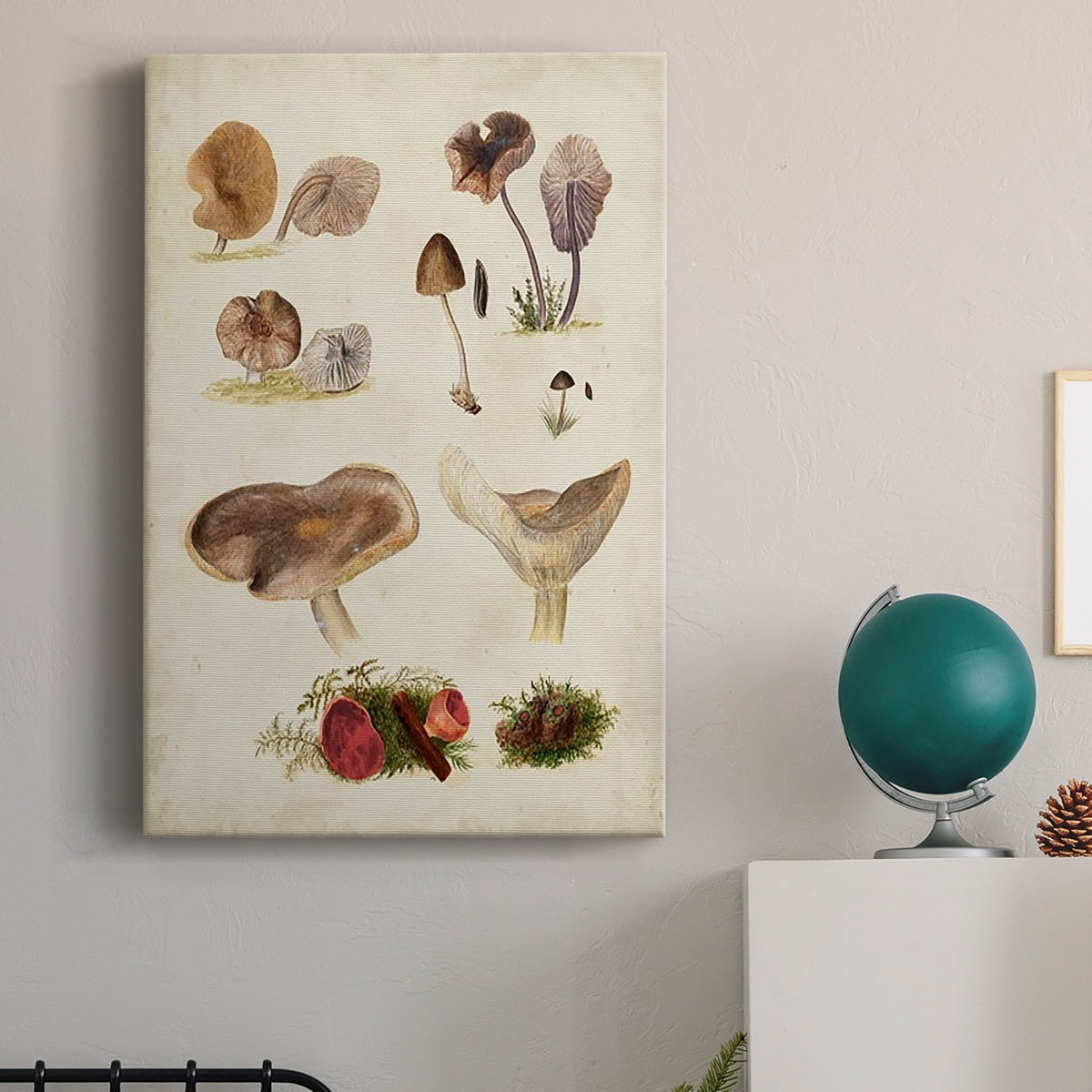 Mushroom Species III Premium Gallery Wrapped Canvas - Ready to Hang