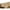 brown, variant on American Furniture Classics 8505-90 Deer Teal/Brown Lodge Tapestry Sofa Sleeper
